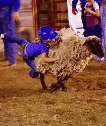 Mutton Bustin'