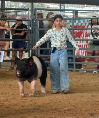 Livestock Show