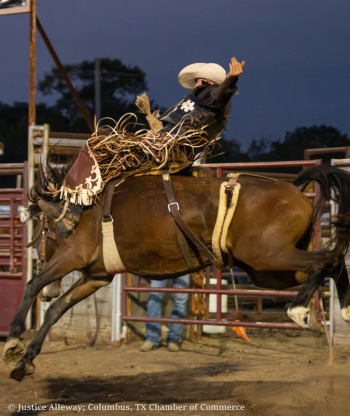 Rodeo